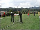 Foto_057.jpg