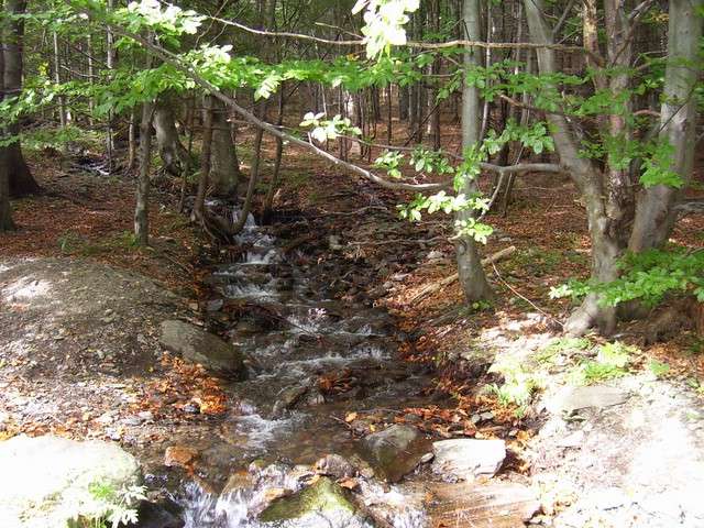 Foto_017.jpg
