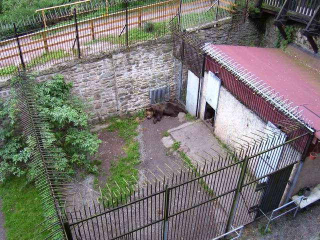 Foto_060.jpg