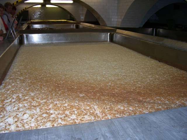 Foto_096.jpg