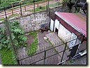 Foto_060.jpg