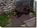 Foto_061.jpg