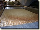Foto_096.jpg